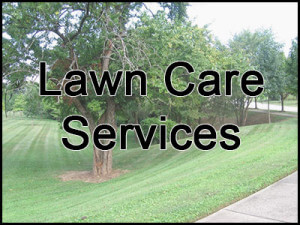 Lawn Care | Select Landscapes